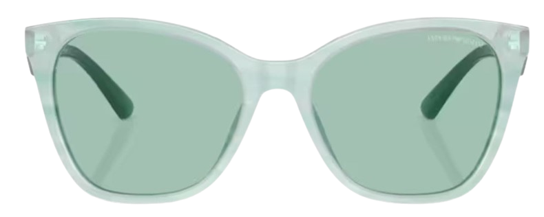 Emporio Armani EA4222U Sunglasses