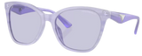 Lunettes de Soleil Emporio Armani EA4222U