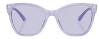 Emporio Armani EA4222U Sunglasses