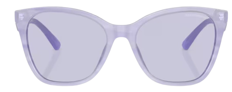 Emporio Armani EA4222U Sunglasses
