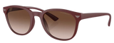 Lunettes de Soleil Emporio Armani EA4225U
