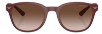 Óculos de Sol Emporio Armani EA4225U