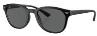 Óculos de Sol Emporio Armani EA4225U