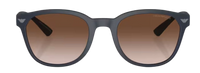 Óculos de Sol Emporio Armani EA4225U