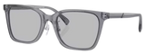 Gafas de sol Emporio Armani EA4226D