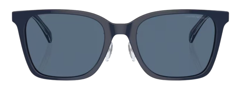 Óculos de Sol Emporio Armani EA4226D