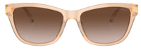 Óculos de Sol Emporio Armani EA4227U