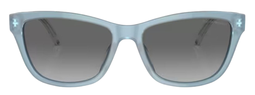 Óculos de Sol Emporio Armani EA4227U