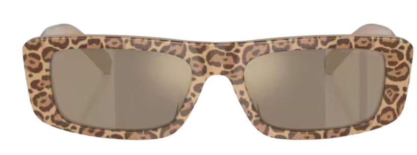 Óculos de Sol Emporio Armani EA4229U