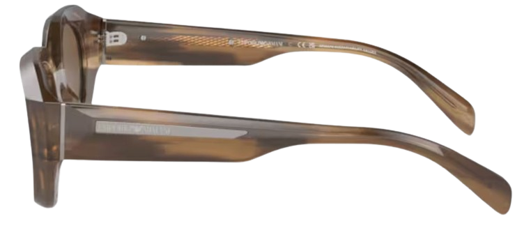 Gafas de Sol Emporio Armani EA4230U