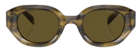 Gafas de Sol Emporio Armani EA4230U