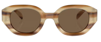 Gafas de Sol Emporio Armani EA4230U