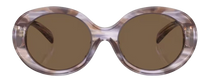 Óculos de Sol Emporio Armani EA4231U