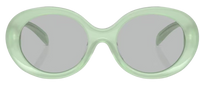 Óculos de Sol Emporio Armani EA4231U