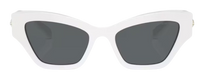 Sonnenbrille Swarovski SK6021