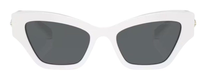 Sonnenbrille Swarovski SK6021