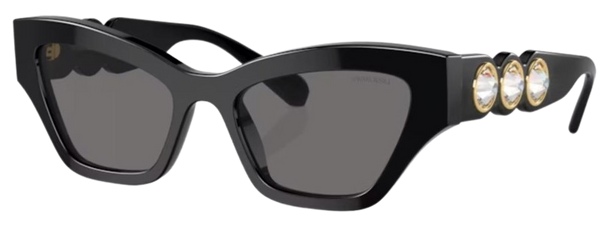 Lunettes de Soleil Swarovski SK6021