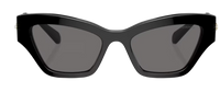 Sonnenbrille Swarovski SK6021