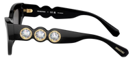 Sonnenbrille Swarovski SK6021