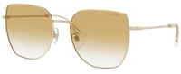 Óculos de Sol Swarovski SK7021D