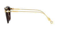 Zonnebrillen Swarovski SK6010