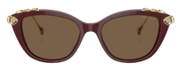 Zonnebrillen Swarovski SK6010