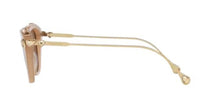 Zonnebrillen Swarovski SK6010