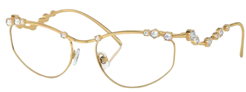 Swarovski SK1015 Eyeglasses