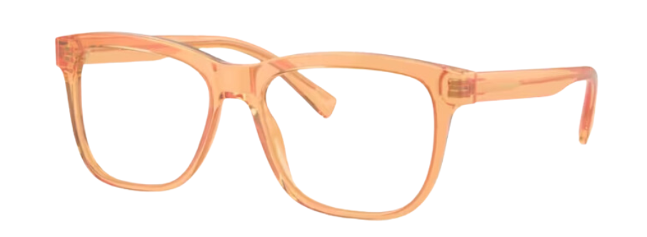 Dolce & Gabbana DX3356 Eyeglasses