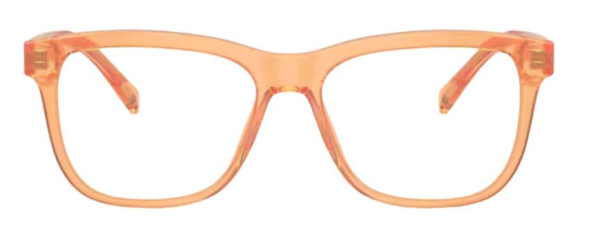 Dolce & Gabbana DX3356 Eyeglasses