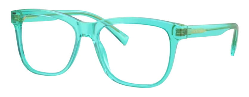 Dolce & Gabbana DX3356 Eyeglasses
