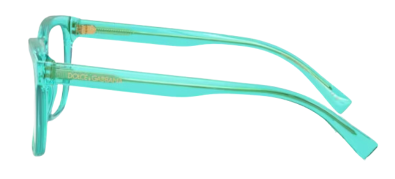 Dolce & Gabbana DX3356 Eyeglasses