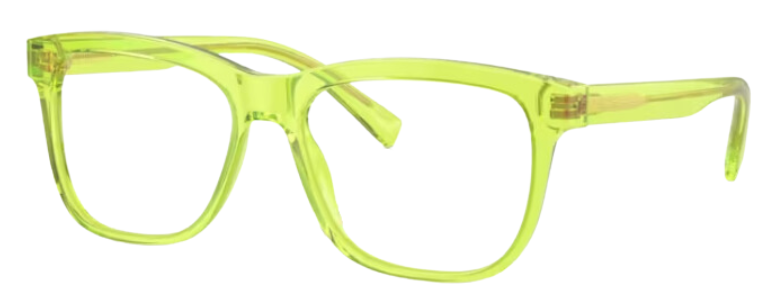 Dolce & Gabbana DX3356 Eyeglasses