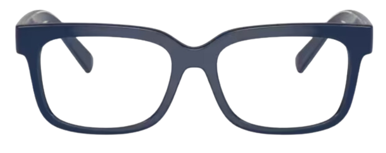 Korrektionsbrillen Dolce & Gabbana DX5002