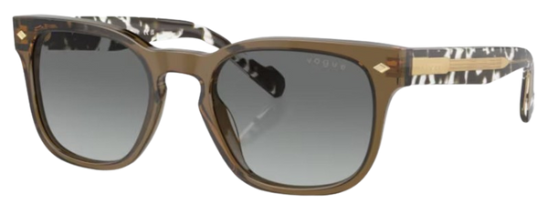 Vogue Eyewear VO5571S 太阳镜