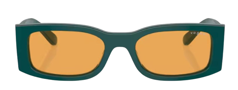 Sonnenbrille Vogue Eyewear VO5584S