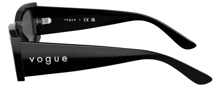 Sonnenbrille Vogue Eyewear VO5584S
