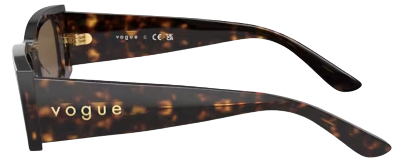 Sonnenbrille Vogue Eyewear VO5584S