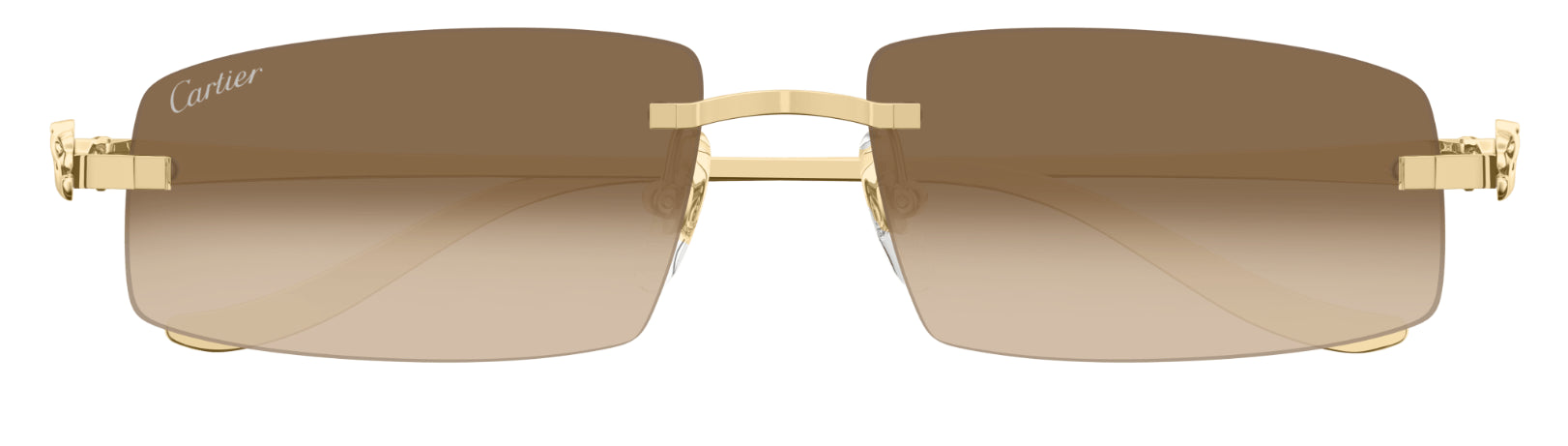 Óculos de Sol Cartier Panthère CT0505S