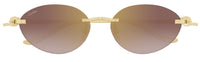 Óculos de Sol Cartier Panthère CT0504S
