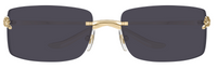Óculos de Sol Cartier Panthère CT0503S