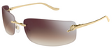 Lunettes de Soleil Cartier Panthère CT0503S