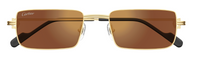 Óculos de Sol Cartier Première CT0501S