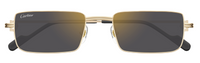 Óculos de Sol Cartier Première CT0501S