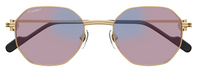 Óculos de Sol Cartier Première CT0500S