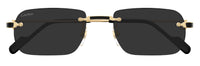 Óculos de Sol Cartier Exception CT0498S
