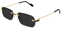 Óculos de Sol Cartier Exception CT0498S