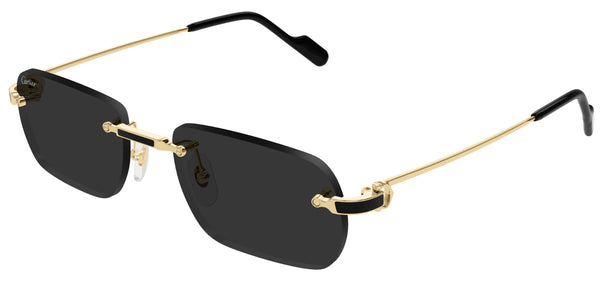Óculos de Sol Cartier Exception CT0498S
