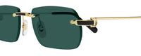 Óculos de Sol Cartier Exception CT0498S