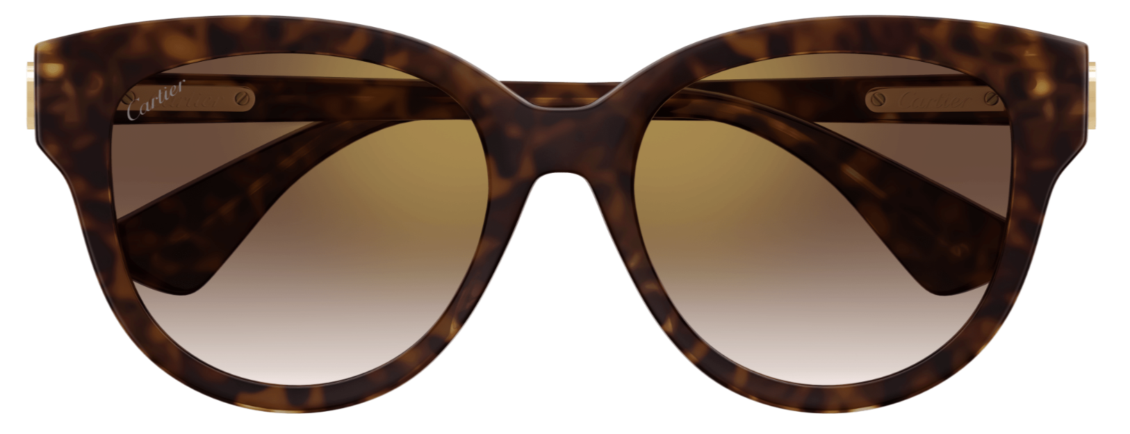 Óculos de Sol Cartier Signature C CT0506SA